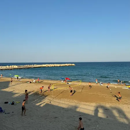 Buglia 아볼라